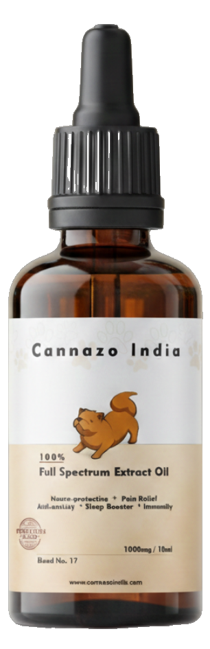 Pet CBD Oil